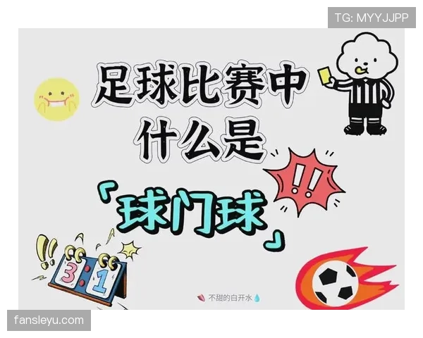 球门球规则详解：判定标准与正确执行步骤解析