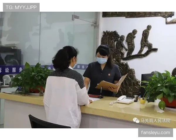 裁判报告须载哪些要素及对纪律判罚的作用解析